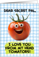 Secret Pal Love You...