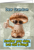 Grandson Happy Birthday Thumbs Up Fungi with Sunglasses card