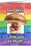 Wife Happy Pride LGBTQIA Rainbow Mushroom card