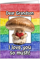 Grandson Happy Pride LGBTQIA Rainbow Mushroom card