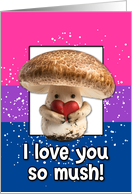 Happy Pride LGBTQIA Bisexual Mushroom card