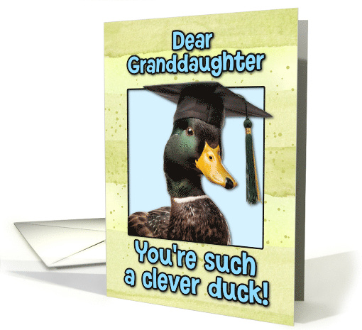 Granddaughter Congratulations Graduation Clever Duck card (1834242)
