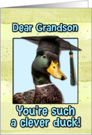 Grandson Congratulations Graduation Clever Duck card