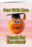 Birth Mom...