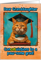 Granddaughter Congratulations Graduation Ginger Cat card