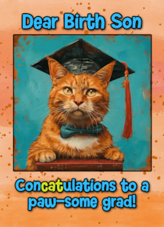 Birth Son Congratulations Graduation Ginger Cat