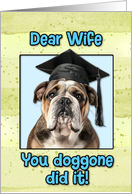 Wife Congratulations Graduation English Bulldog card