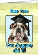 Son Congratulations Graduation English Bulldog card