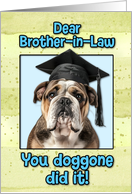 Brother in Law Congratulations Graduation English Bulldog card