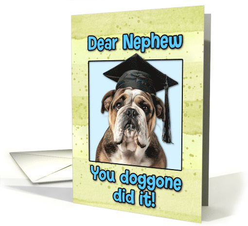 Nephew Congratulations Graduation English Bulldog card (1835850)