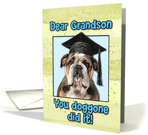 Grandson Congratulations Graduation English Bulldog card (1835870)