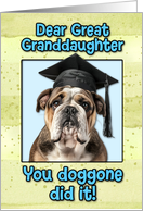 Great Granddaughter Congratulations Graduation English Bulldog card