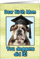 Birth Mom Congratulations Graduation English Bulldog card