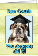 Cousin Congratulations Graduation English Bulldog card