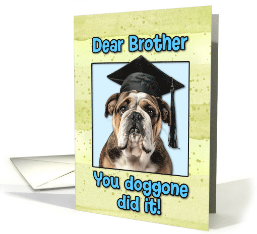 Brother Congratulations Graduation English Bulldog card (1835920)