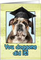 Congratulations Graduation English Bulldog card