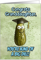 Granddaughter Congratulations Graduation Big Dill Pickle card