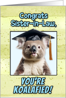 Sister in Law Congratulations Graduation Koala Bear card