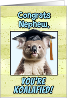 Nephew Congratulations Graduation Koala Bear card