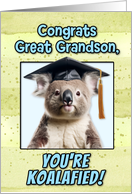 Great Grandson Congratulations Graduation Koala Bear card