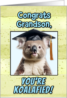Grandson Congratulations Graduation Koala Bear card