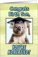 Birth Son Congratulations Graduation Koala Bear card