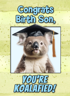 Birth Son Congratulations Graduation Koala Bear