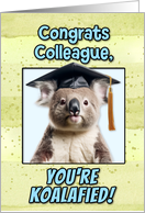 Colleague Congratulations Graduation Koala Bear card