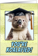 Congratulations Graduation Koala Bear card