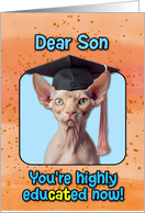 Son Congratulations Graduation Sphynx Cat card