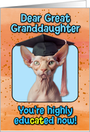 Great Granddaughter Congratulations Graduation Sphynx Cat card