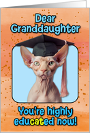 Granddaughter Congratulations Graduation Sphynx Cat card