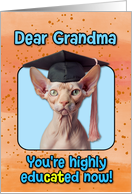 Grandma Congratulations Graduation Sphynx Cat card