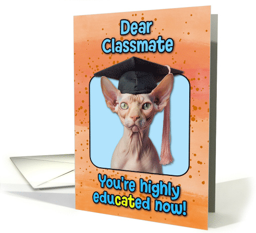 Classmate Congratulations Graduation Sphynx Cat card (1837046)