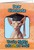 Classmate Congratulations Graduation Sphynx Cat card