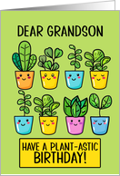 Grandson Happy Birthday Kawaii Cartoon Plants in Pots card