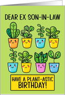 Ex Son in Law Happy Birthday Kawaii Cartoon Plants in Pots card