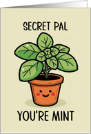 Secret Pal Kawaii Cartoon Mint Plant in Pot card