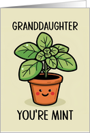 Granddaughter Kawaii Cartoon Mint Plant in Pot card