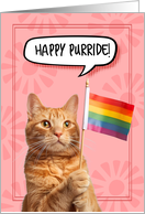 Happy Pride Ginger Cat with Rainbow Flag card