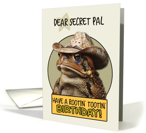 Secret Pal Happy Birthday Country Cowboy Toad card (1842990)