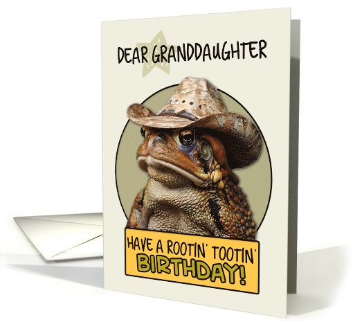 Granddaughter Happy Birthday Country Cowboy Toad card (1843142)