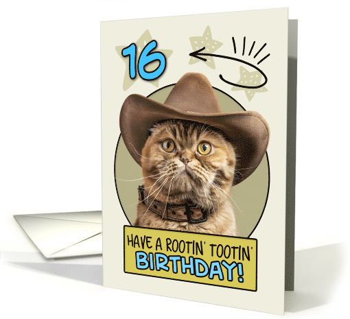 16 Years Old Happy Birthday Cat with Cowboy Hat card (1844108)