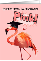 Congratulations Graduation Flamingo card