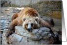Bored bear card