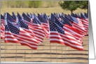 American Flags card