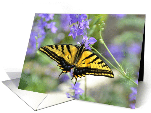 Swordtail Butterfly card (1346634)