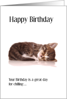 Birthday kitten...
