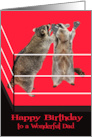 Birthday to Dad Boxing Theme with Raccoons Wearing Boxing Gloves card