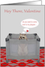 Valentine’s Day Adult Humor with a Raccoon Holding Heart in Playpen card